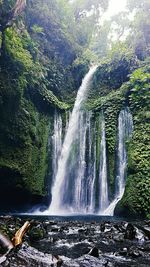 Scenic view of waterfall in forest