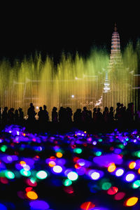 Group of people at illuminated building at night