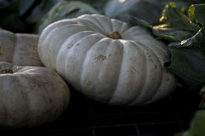 Close-up of pumpkins for sale in market