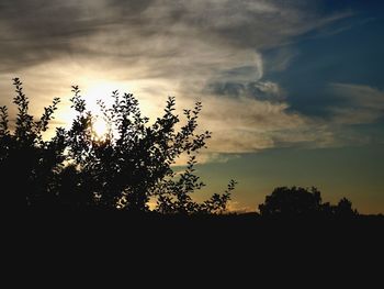 Silhouette trees against sky during sunset