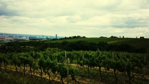 Scenic view of field against cloudy sky