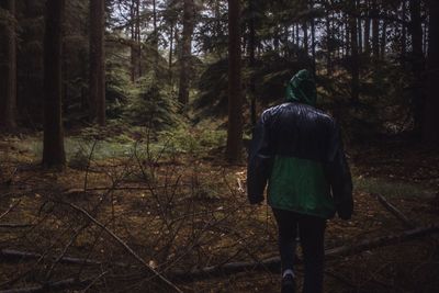 Rear view of man walking in forest