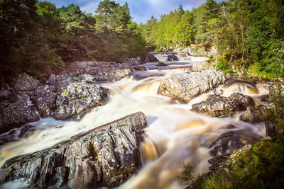 Scenic view of waterfall in forest