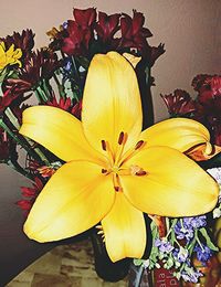 Close-up of yellow flowers