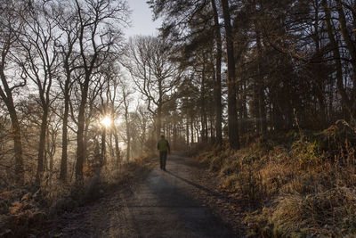 Rear view of man walking on road amidst trees in forest