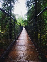 Footbridge in forest