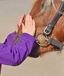 Close-up of girl hands petting pony