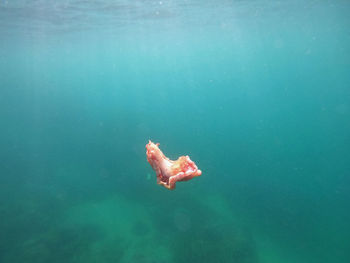 Cropped image of person swimming in sea