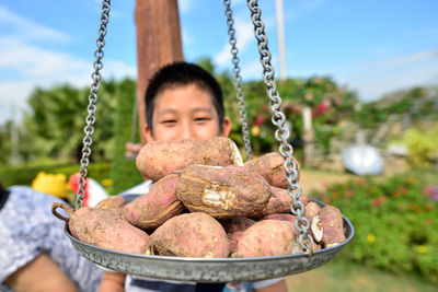 Close-up of sweet potatoes on weight scale against boy