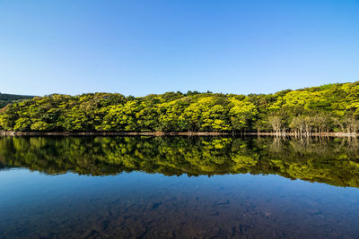 Scenic view of lake against clear blue sky