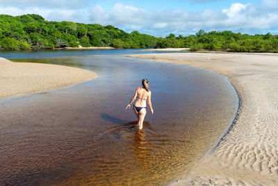 Rear view of woman walking at beach