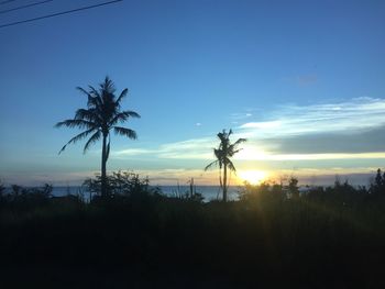 Silhouette palm trees on beach against sky