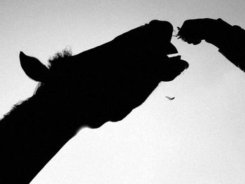 Silhouette of person shadow on hand against sky