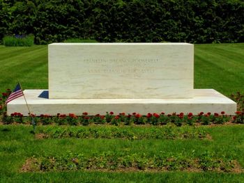 Plants growing in cemetery