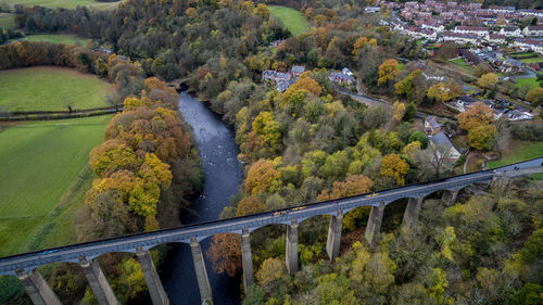 Scenic view of trees