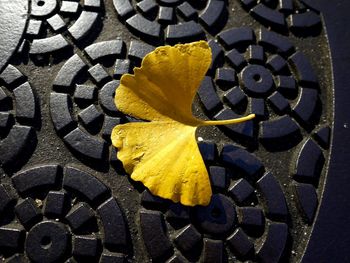 Close-up of yellow wheel