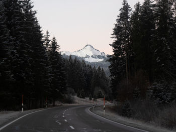Road by trees against sky during winter