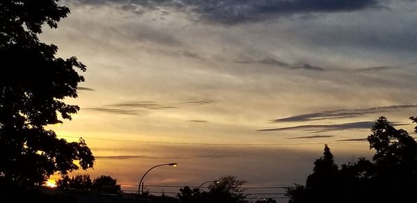 Low angle view of silhouette trees against sky at sunset