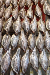 Full frame shot of fish for sale in market