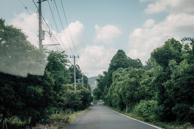 Road passing through trees