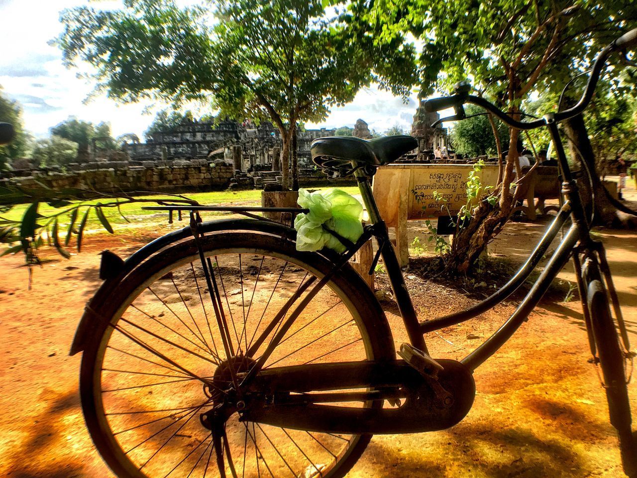 BICYCLE AGAINST TREES