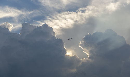 Low angle view of birds flying in sky