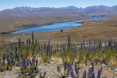 wilderness