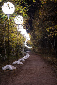 Empty road along trees