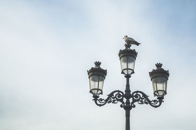 Low angle view of bird perching on street light against sky