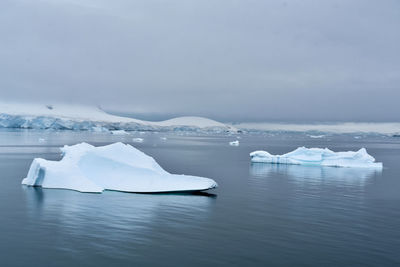 Icebergs in antarctica continent