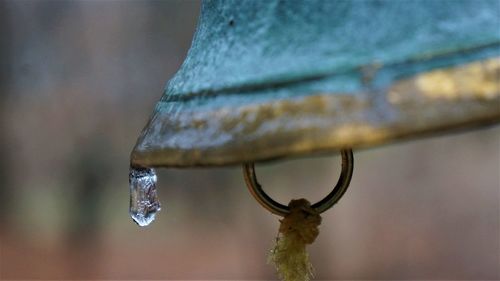 Close-up of icicle on bell