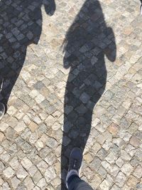 Low section of woman shadow on cobblestone