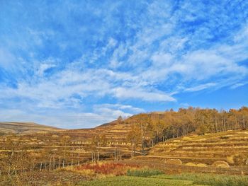 Scenic view of landscape against blue sky