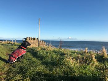 Scenic view of sea against clear blue sky