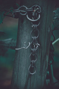 Close-up of chain hanging on metal fence