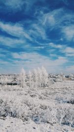 Scenic view of snow field against sky