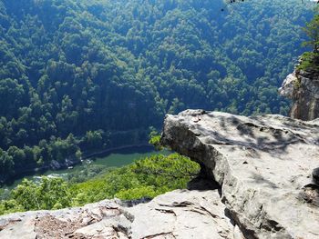 Scenic view of rocks in forest