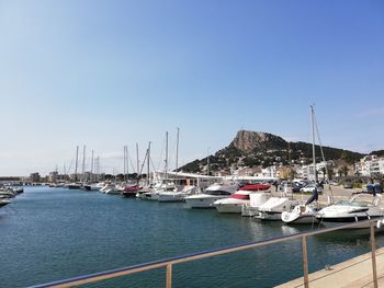 Sailboats moored in harbor