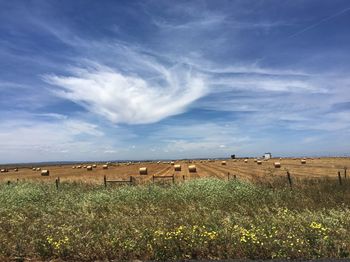 Hay bales on field against sky