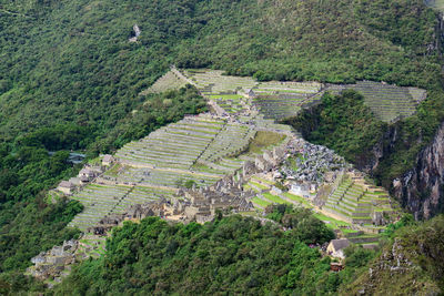 Amazing condor shape of machu picchu citadel seen from huayna picchu mountain, cusco, urubamba, peru