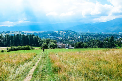 Scenic view of landscape against sky