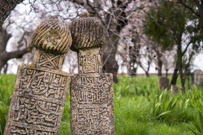 Close-up of tombstone on grass