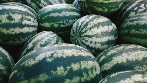 Full frame shot of watermelons 