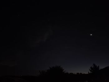 Low angle view of silhouette trees against sky at night