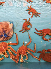 High angle view of rope