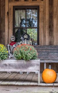 Flower pot on table by window