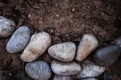 Close-up of stones