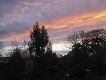 Silhouette trees against sky during sunset