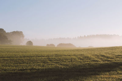 Scenic view of field during foggy weather