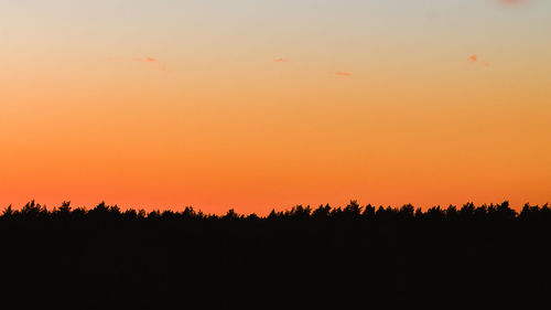 Silhouette trees against sky during sunset